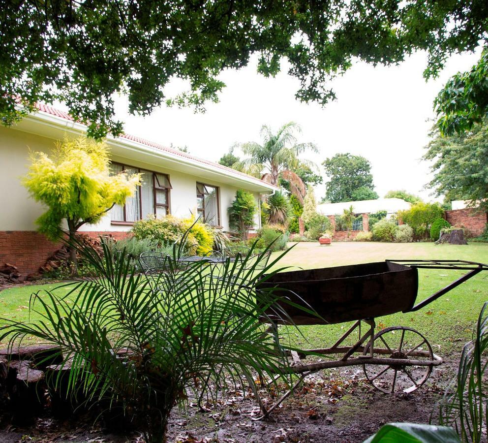 Amasun B&B George Exterior photo